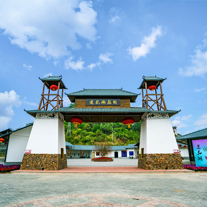 【梦回南越】信宜莲花湖、玻璃桥或电动船二选一、梦回南越实景剧演绎、山水公园、窦州墟纯玩1天